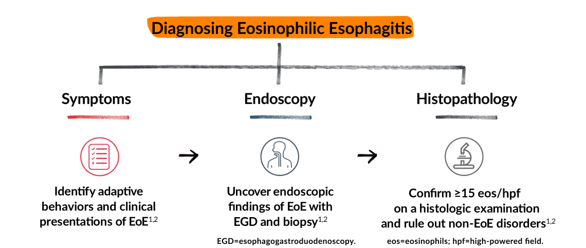 Diagnosing Eosinophilic Esophagitis flow chart