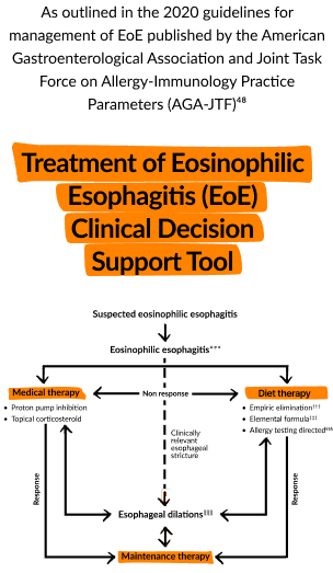 Anatomic and Physiologic Tests of Esophageal and Gastric Function |  SpringerLink